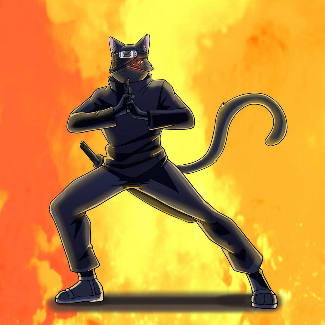 Ninja Cat Project