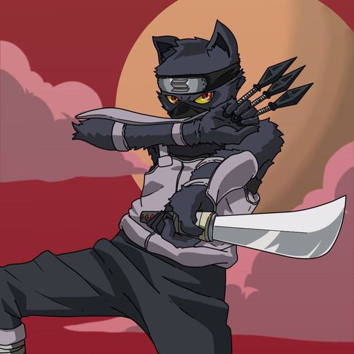 Warrior Ninja Cat